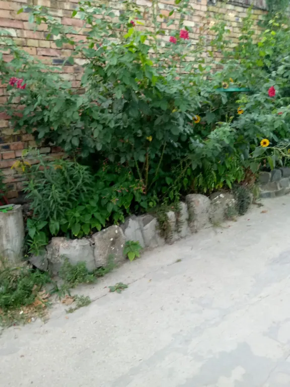 Рады гостям