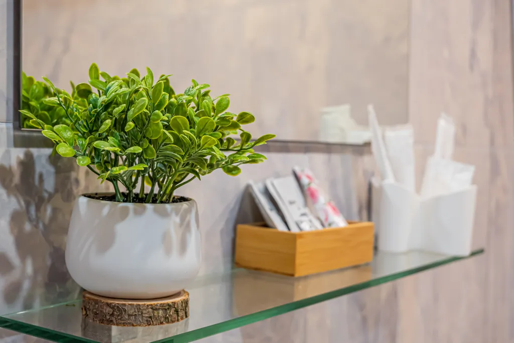 Эко-студия рядом с Космосом