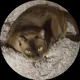 Марина