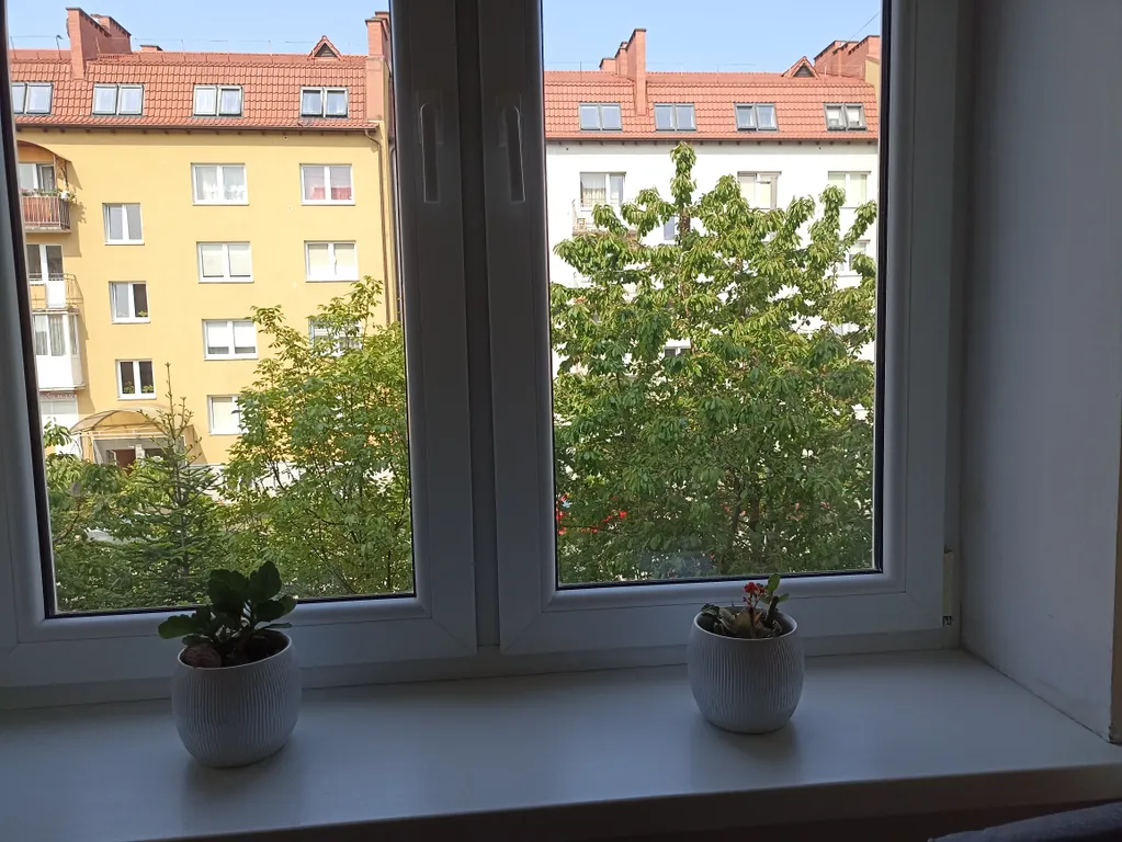 Квартира Квартира рядом с лесом и морем — Калининград