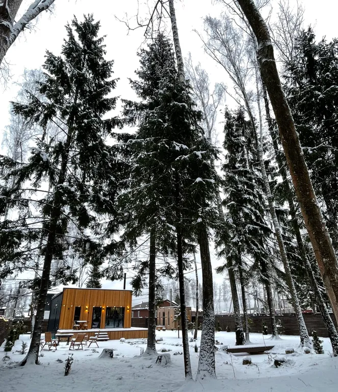 Отдых в доме в лесу с чаном и бассейном