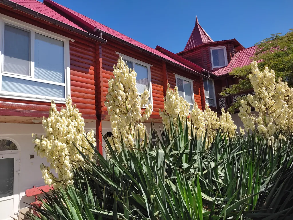 Апартамент с видом на море