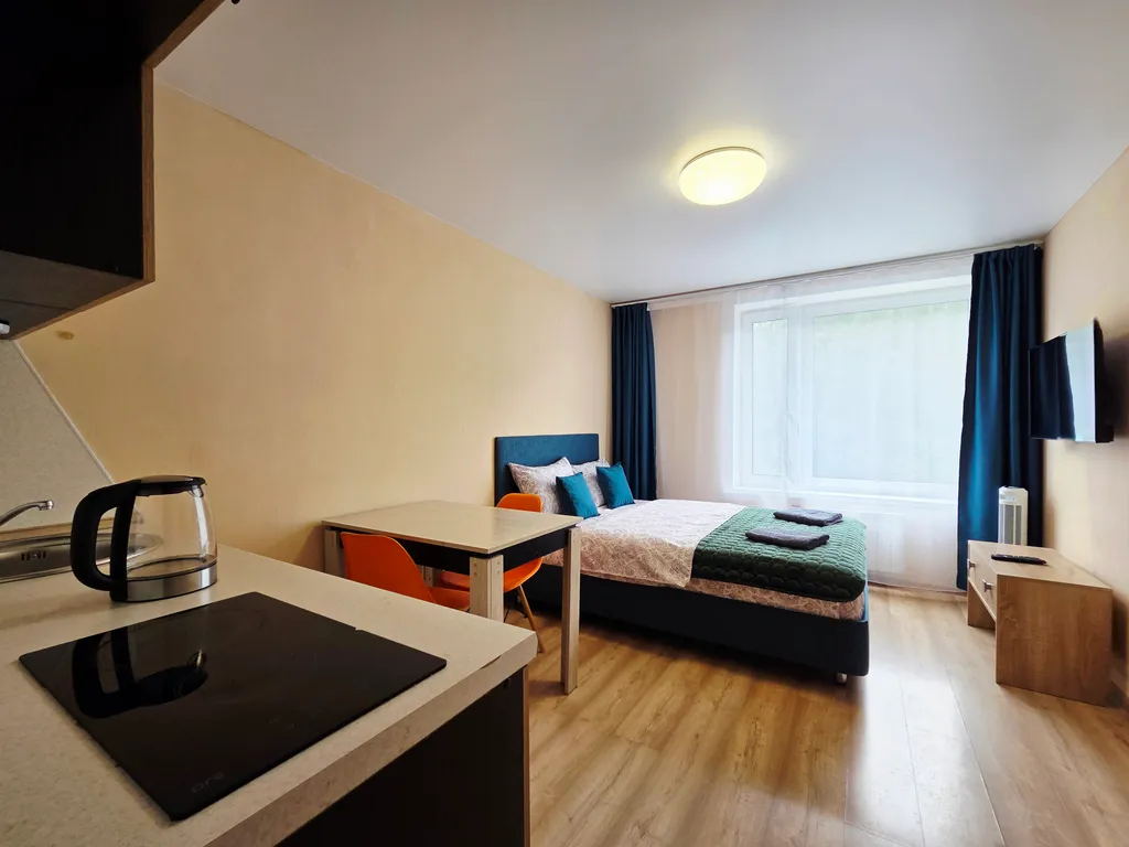 Квартира Квартира Уютная студия с видом на парк Лосиный остров — Москва