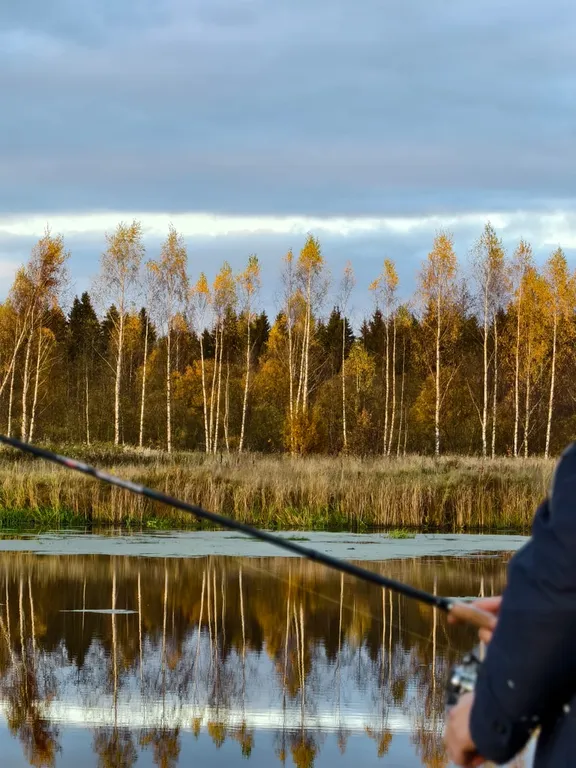 А-фрейм на берегу реки Нерль с банным чаном