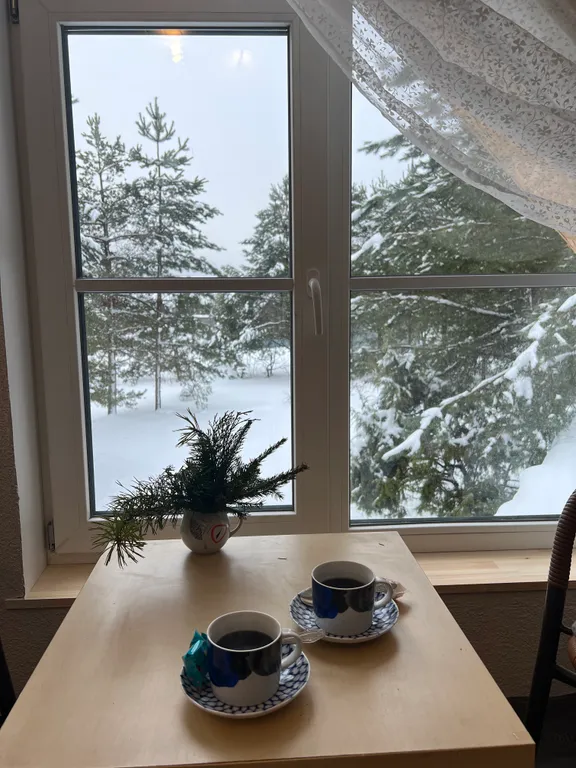 Дом в стиле прованс с камином