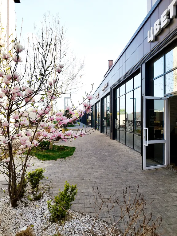 Уютная квартира на берегу Кубани в 10 минутах от центра