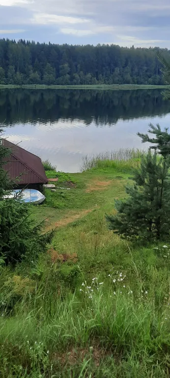 Домик в деревне