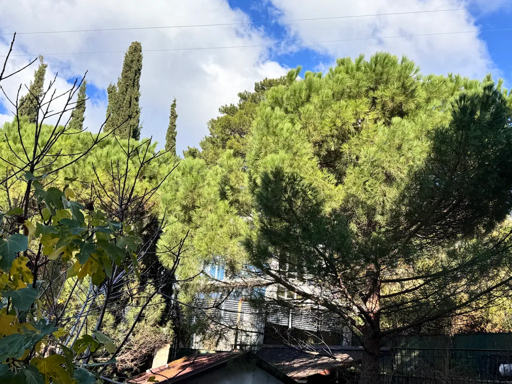 Ялтинская Вилла