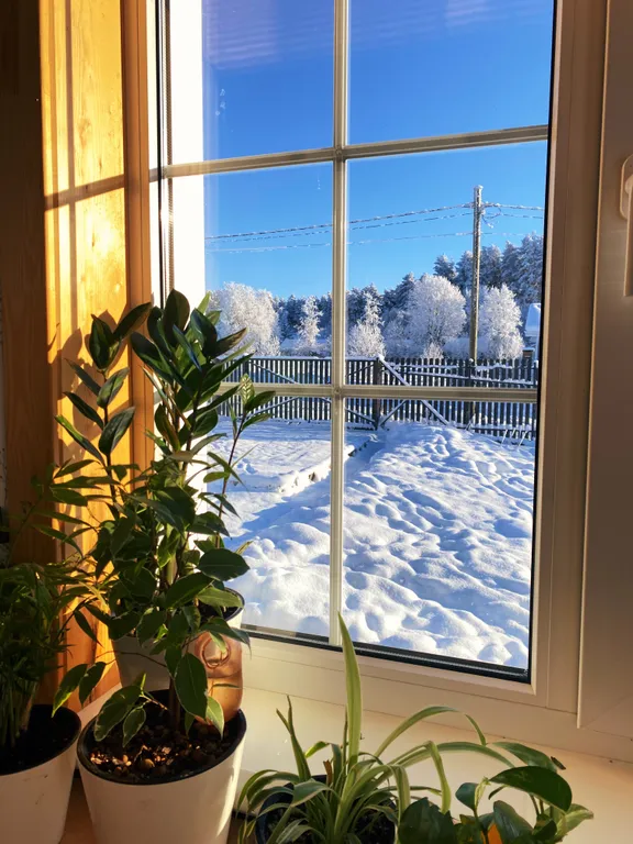 Коттедж Дом у озера — Санкт-Петербург