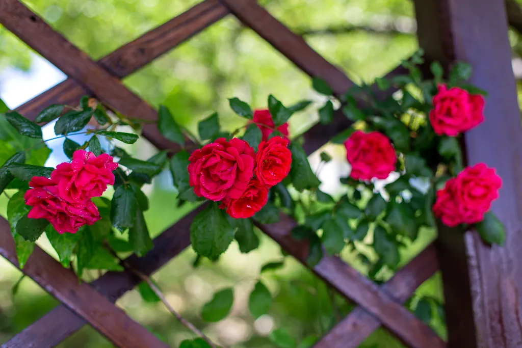 Коттедж Домик в горах — Адлер