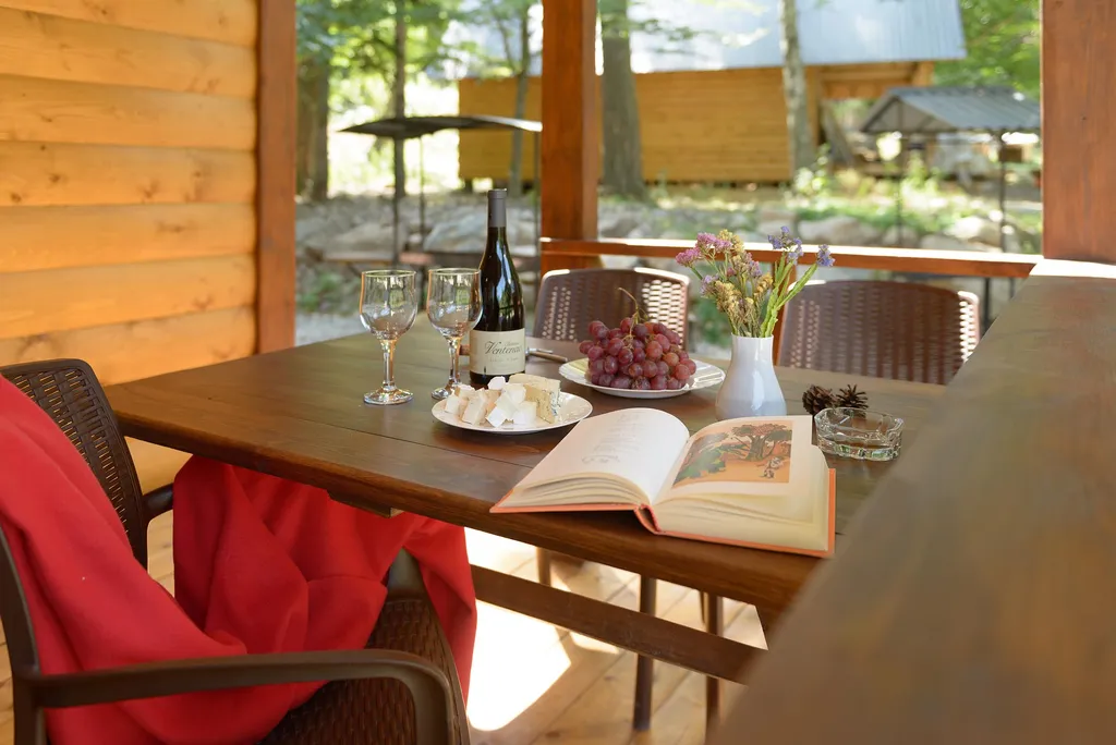 Дача МиСо в хвойном лесу Теберды Шале №5