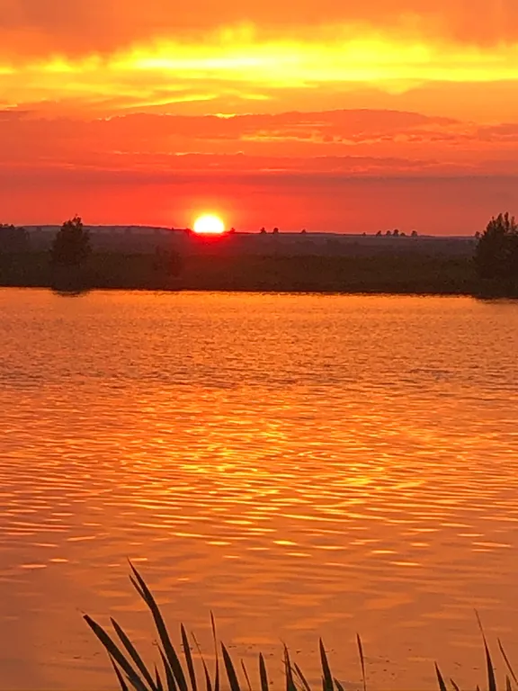 Усадьба Царское село