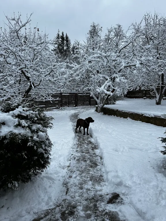 Домик близ Сорочан с баней-бочкой