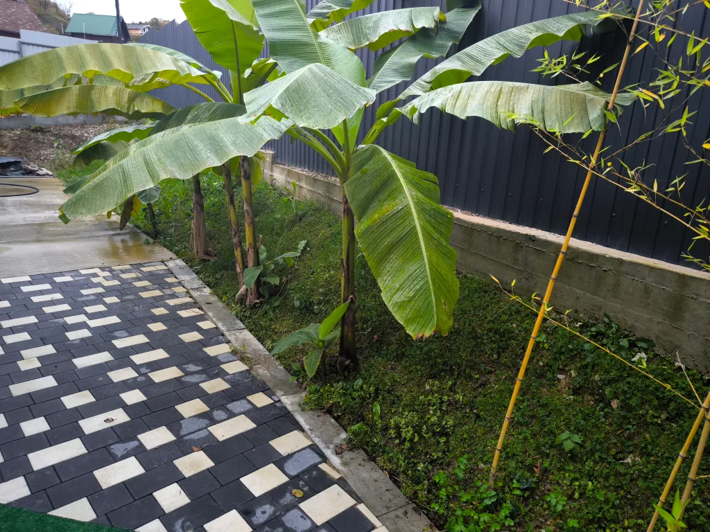 Дом с подогреваемым бассейном и сауной, в стоимость всё включено