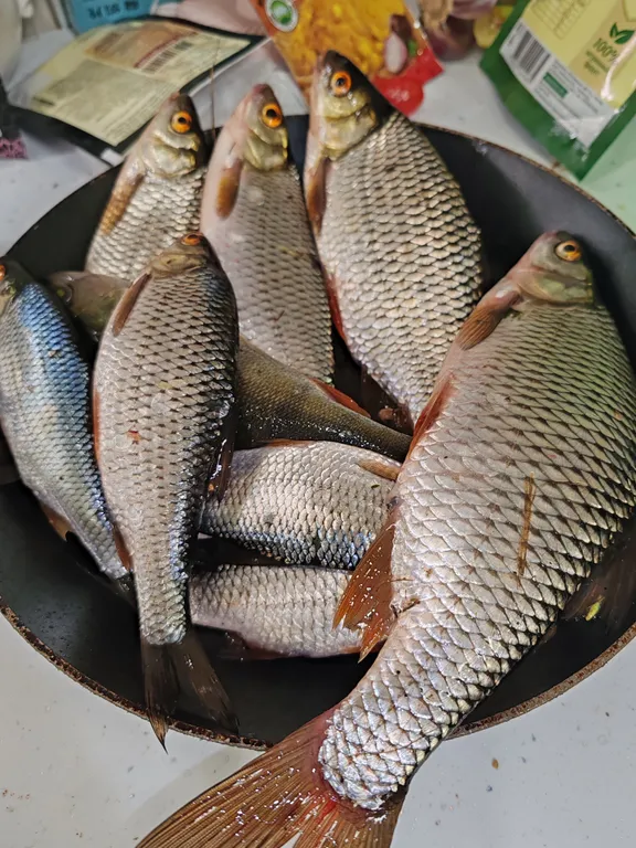 Дом у слияния рек, рядом с историей