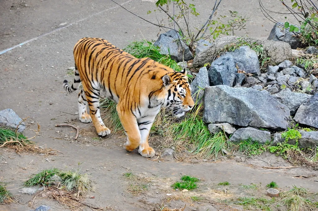 Элегантные апартаменты в центре города у Рэдиссон Блю Отель, МК Лотос.