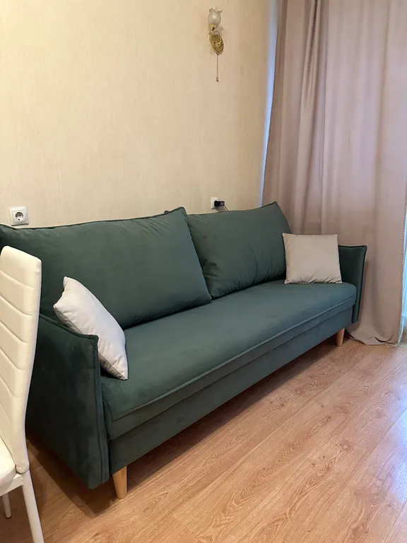 Большая однокомнатная квартира у парка