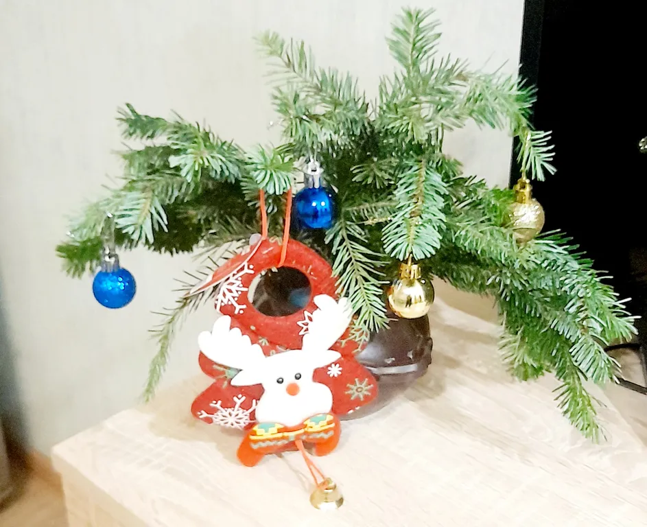 Комнаты на Баме