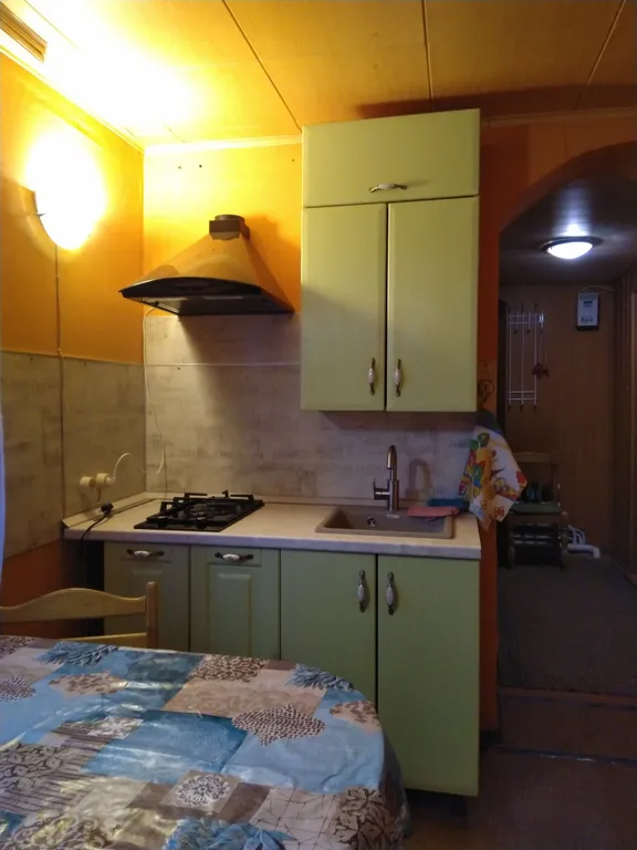 Дом в сосновом бору на озере Селигер