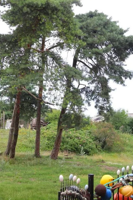 Апартаменты "Мариелла" - 200 метров до моря