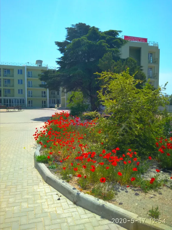 Апартаменты с видом на море