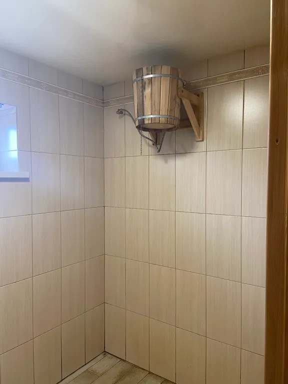 Дом с баней на дровах.