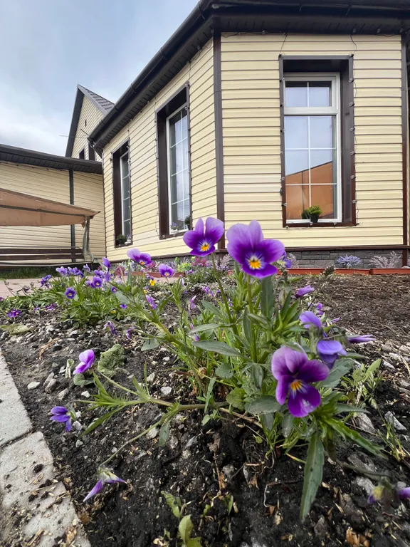 Дом-кафе Прованс на 40 человек