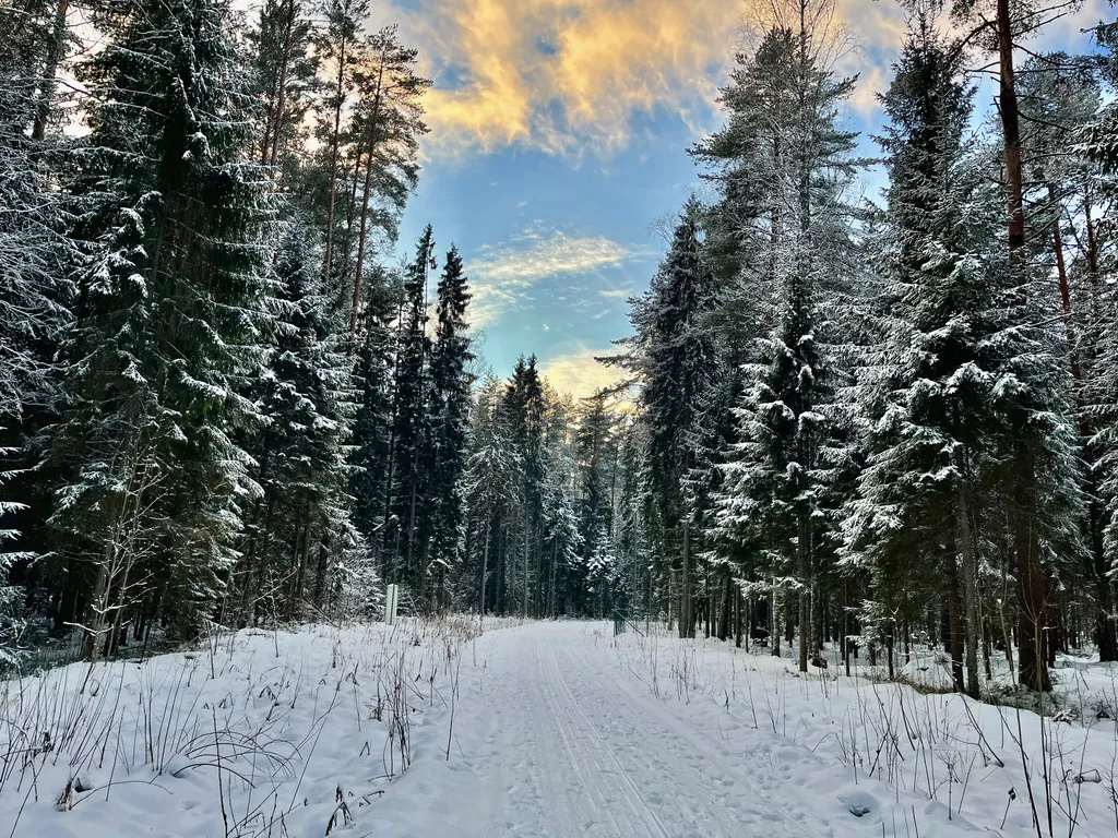 Коттедж Уютный домик на озере Волго на Селигере в сосновом бору — Турбаза Чайка