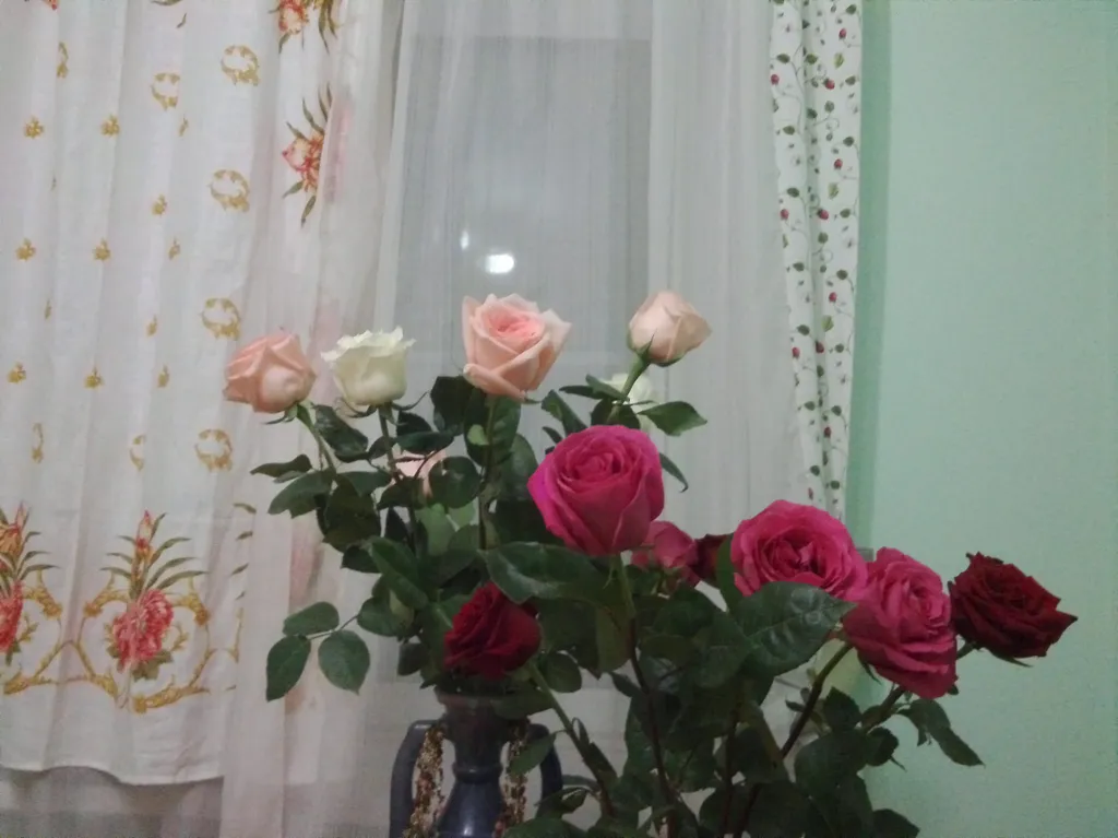 Уютная и чистая квартира в центре рядом с прудами