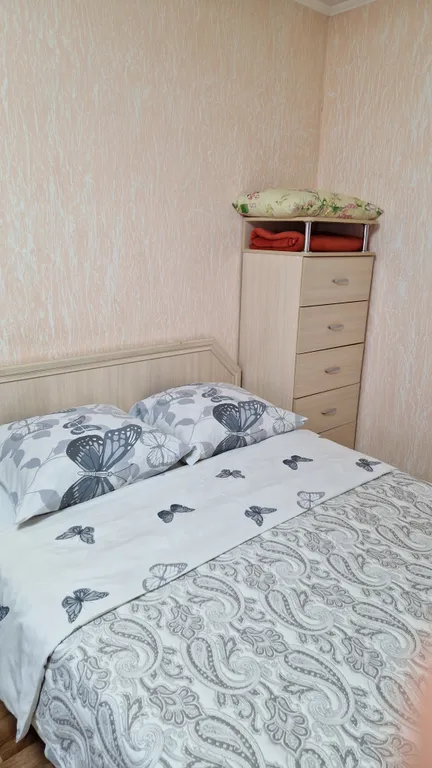 Уютная однокомнатная квартира — аренда посуточно в Барнаул