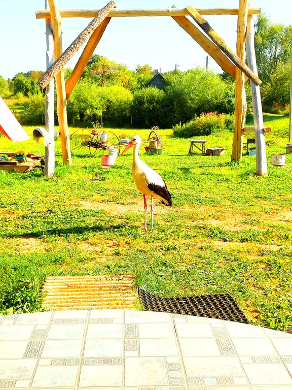 Дом для большой компании на Браславских озерах