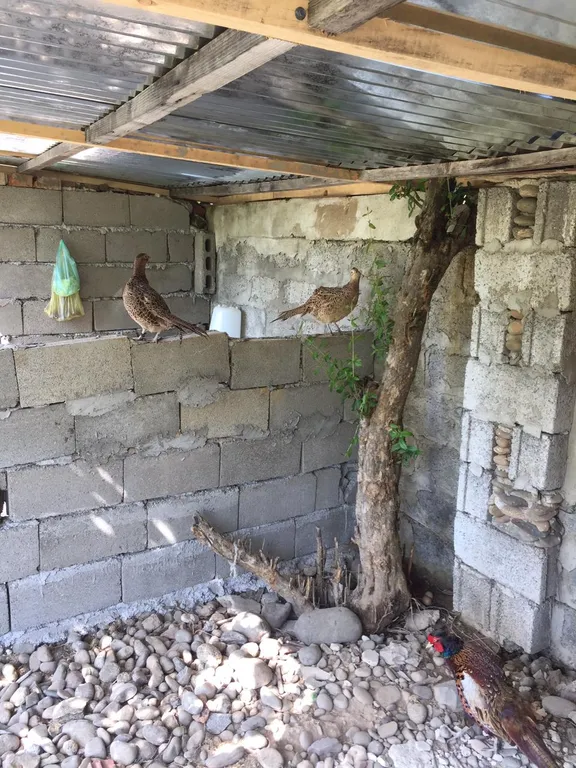 Уютная комната в гостевом доме