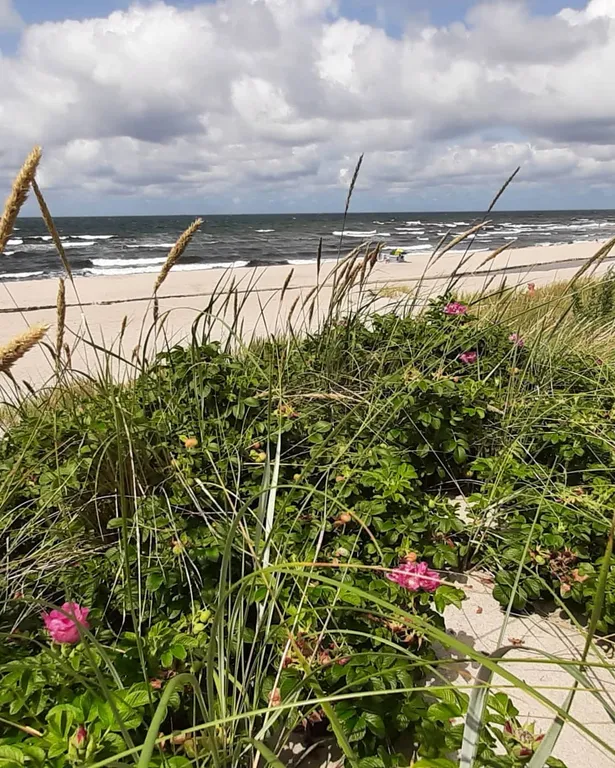 Апартамент с большой террасой и видом на море