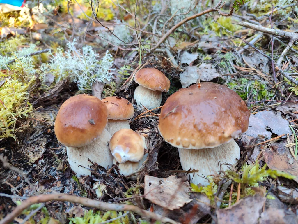 Гостевой дом с сауной на берегу озера