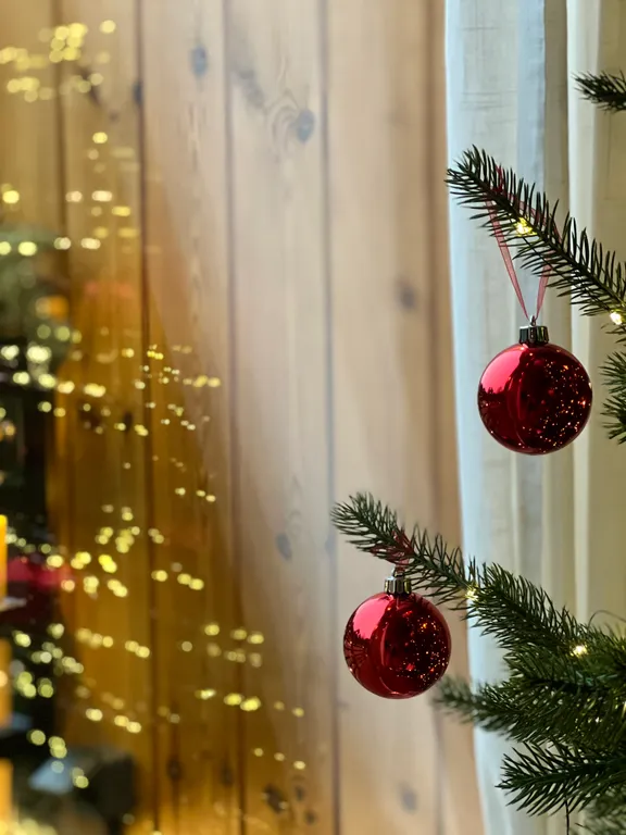 Дом в Беловежской пуще Fauna