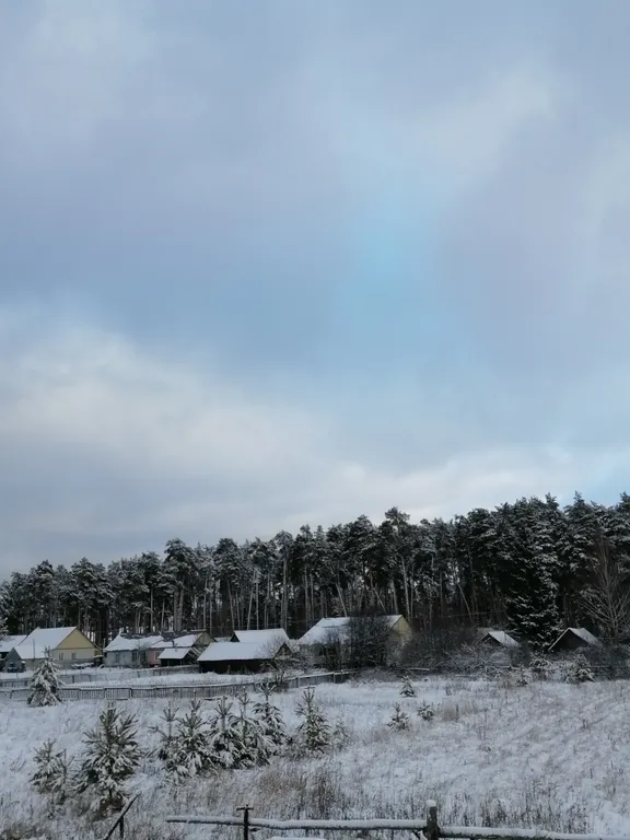 Коттедж Уютный домик в лесочке — аренда посуточно в Саранск