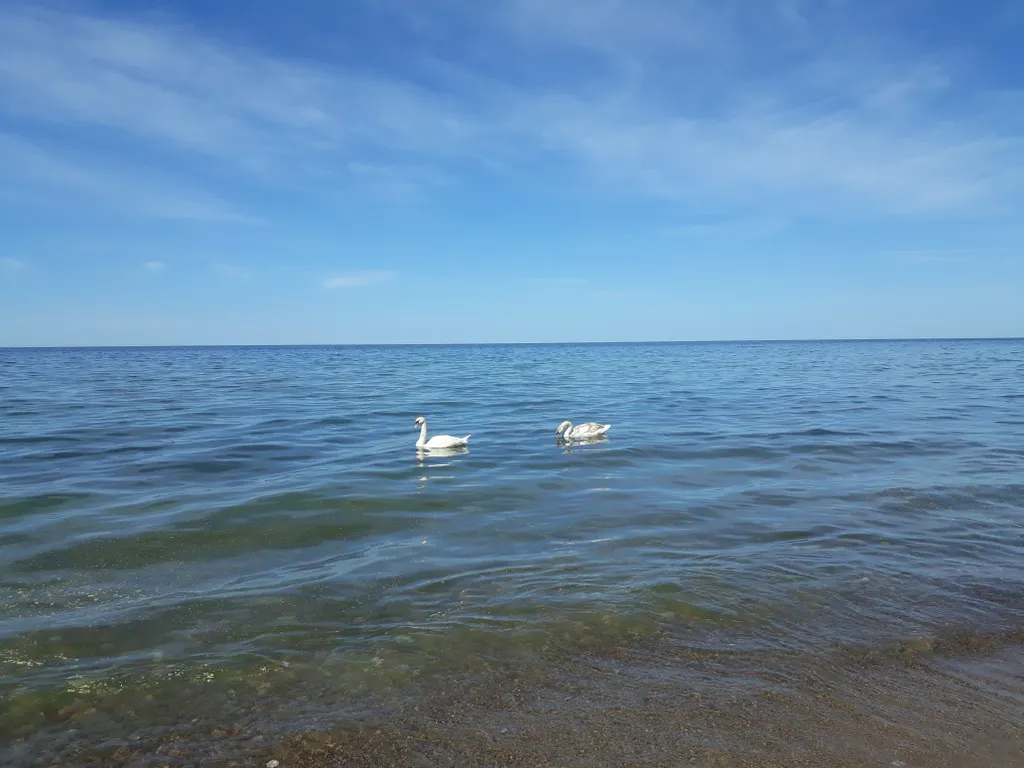 Квартира Квартира Апартамент Спа Баден-Баден — Светлогорск