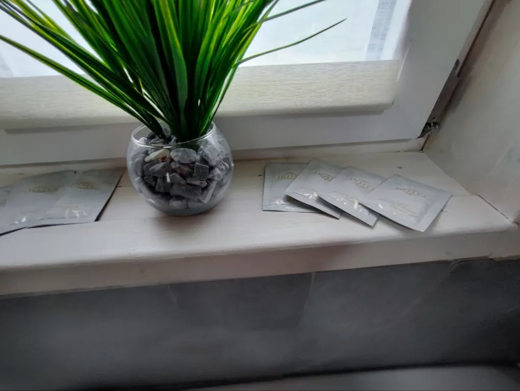 Новый стильный дом в окружении леса