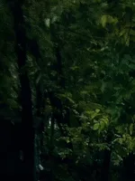 Спутник