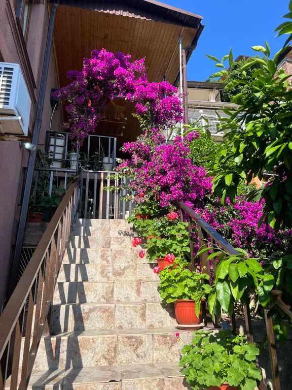 Квартира Комната — аренда посуточно в Гагра