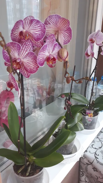 Уютная, теплая квартирка недалеко от метро и центра,рядом Автополе