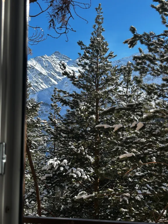 Уютные апартаменты в сосновом лесу