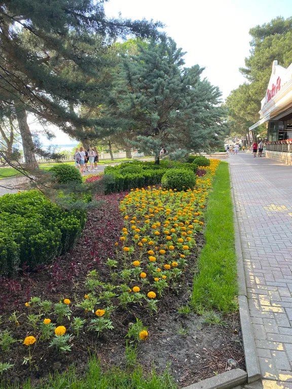 Квартира Уютные апартаменты на первой береговой линии в Геленджике — Геленджик