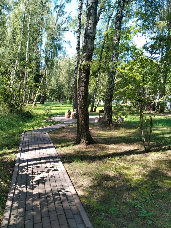 Уютный домик в лесу у пруда