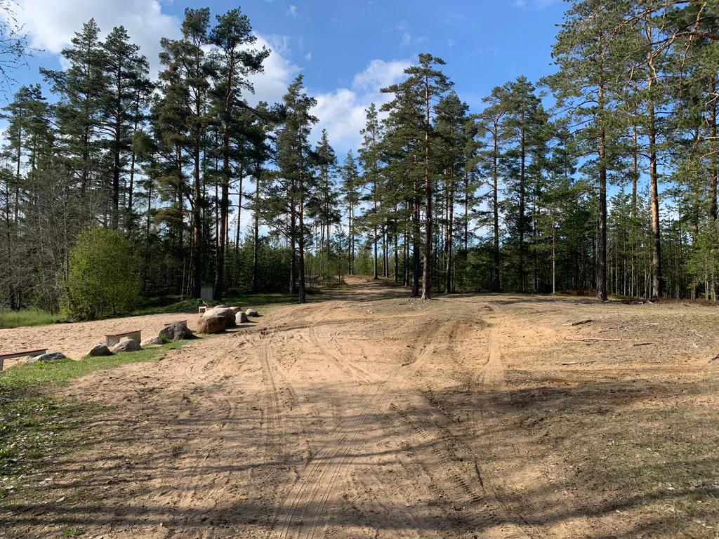 Коттедж Уютный современный дом в сосновом лесу у озера — Запорожское