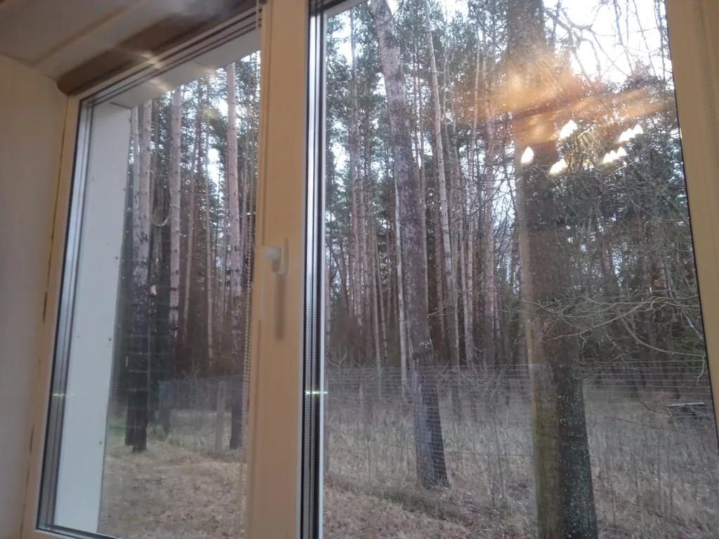 Домик в древнем Гнёздове