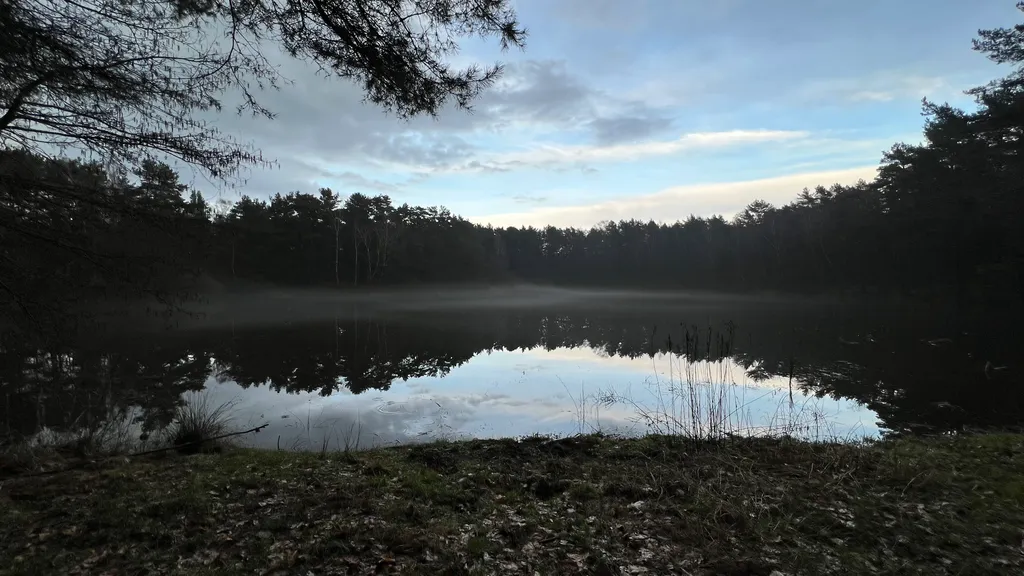 Коттедж Гостевой Дом Ветрово — Сосновка