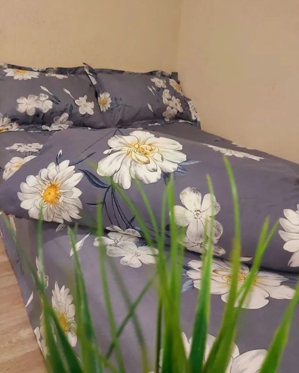 Уютная студия напротив больницы Миротворцева