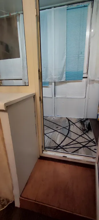 Дизайнерская студия