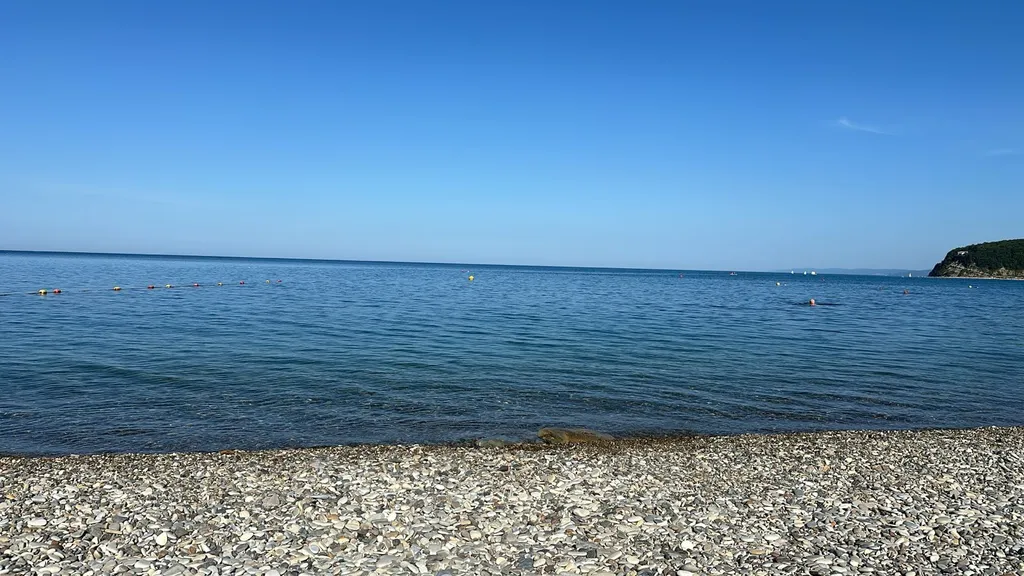 Двухместный номер с 2 отдельными кроватями, с видом на сад